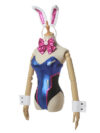 Tenue de Bunny Girl